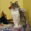 Отзыв от Ангелина Соколова